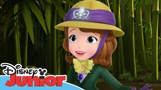 Sofia the First  Stronger Than You Know  Official Disney Junior Africa [upl. by Alyam]