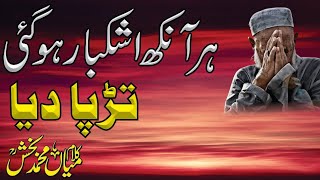 Super Hit Emotional Kalam  Mian Muhammad Bakhsh  New Sufiana Kalam [upl. by Ayanahs883]