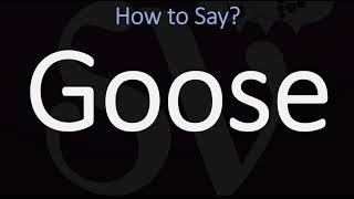 How to Pronounce Goose CORRECTLY [upl. by Roban]