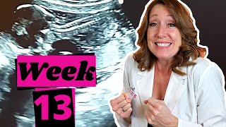 Week 13 and Second Trimester Symptoms [upl. by Cheria]