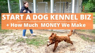 Start a Dog Kennel Business HOW MUCH WE ARE MAKING amp Ups and Downs [upl. by Kip309]