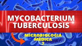 MYCOBACTERIUM TUBERCULOSIS  MICROBIOLOGIA MÉDICA  AULA 7 [upl. by Pfeffer496]