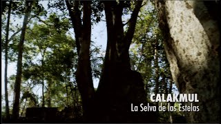 Calakmul la selva de las estelas PIEDRAS QUE HABLAN [upl. by Mulac]