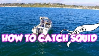 Beginners Guide Squid Fishing Tips Catching Find Tutorial Jig How TO [upl. by Aneer275]