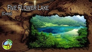 Five Flower Lake China [upl. by Melamie]