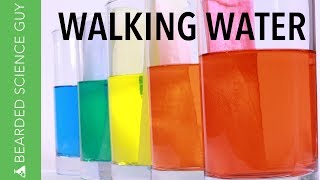 Walking Water Experiment Chemistry [upl. by Atteyram492]