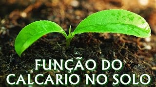 Função do Calcário [upl. by Eigriv176]