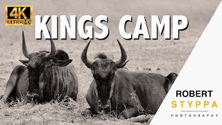 Kings Camp  Luxury Timbavati Safari Lodge [upl. by Yhprum718]