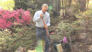 Walter Reeves – Planting Azaleas [upl. by Tnecillim251]