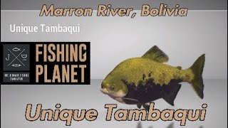 Unique Tambaqui  Marron River Bolivia  Fishing Planet Guide [upl. by Eirol]