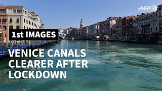 Venice canals clearer due to lack of tourists and traffic  AFP [upl. by Feune]