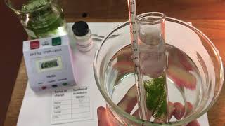 Pondweed  factors affecting the rate of photosynthesis [upl. by Godiva]