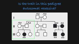 Autosomal Recessive Traits in a Pedigree [upl. by Newby]