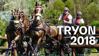 RELIVE  Driving Marathon  Tryon 2018  FEI World Equestrian Games™ [upl. by East191]