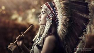 Native American Shamanic Drum Music  Healing amp Relaxation Meditation  Stress Relief Music [upl. by Acsirp]