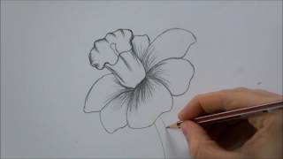 How To Draw a Flower step by step In 6 Minutes [upl. by Nevile66]