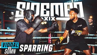 VIDDAL RILEY VS THE SIDEMEN FULL SPARRING [upl. by Cleave543]