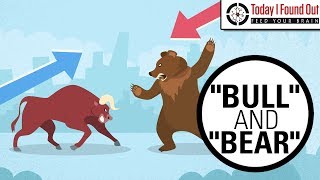 Why are Bull and Bear Markets Called That [upl. by Enoob]