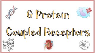 G Protein Coupled ReceptorsGPCRs  Structure Function Mechanism of Action Everything [upl. by Linis]