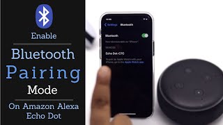 How to Put Amazon Echo Dot in Pairing Mode [upl. by Placida]