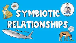 Symbiotic Relationships [upl. by Schinica]