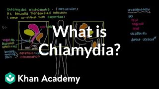 What is chlamydia  Infectious diseases  NCLEXRN  Khan Academy [upl. by Nomor]