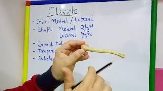 CLAVICLE GENERAL FEATURES AND ATTACHMENTS BY DR MITESH DAVE [upl. by Notsehc17]