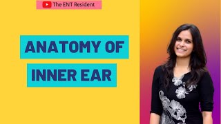 Anatomy of Inner Ear [upl. by Ashly]