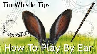 Tin Whistle Tips  HOW TO PLAY BY EAR  getting started for beginners [upl. by Ornie]