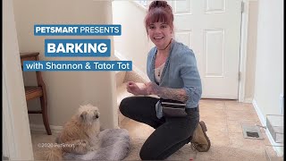 PetSmart Presents 6 Tips to Stop Your Dog’s Barking [upl. by Akinimod657]