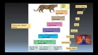 Taxonomy Phylogeny and Systematics [upl. by Adamsen]