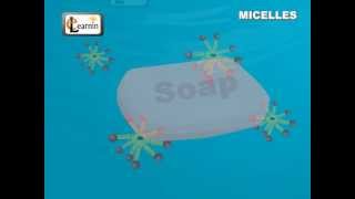 Soap Micelles Formation  Science [upl. by Edison942]