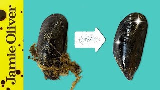 How To Prepare Mussels  1 Minute Tips  Bart’s Fish Tales [upl. by Salvatore]