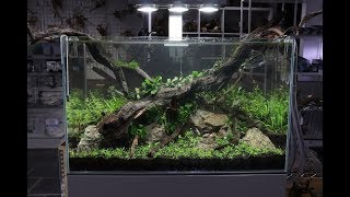 Nature Aquarium Aquascape Tutorial  The ADA Way By Aquarium Gardens [upl. by Ratna]