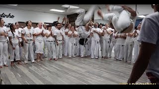 Capoeira Brasil RODA  Mindinho amp Valente [upl. by Ritchie]