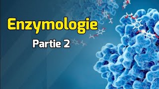 Classification des enzymes  Cours Enzymologie partie 2 [upl. by Adahsar152]