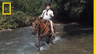 Horses and Solitude Inside the Life of a Brazilian Gaúcho  Short Film Showcase [upl. by Perdita]