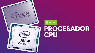 Qué es y Cómo Funciona el CPU o Procesador [upl. by Ybrad751]