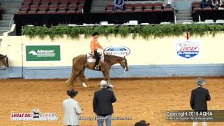 A Judges Perspective 2015 World Show Senior Western Pleasure [upl. by Ireland]