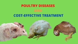 Poultry Diseases Symptoms and Treatment [upl. by Blondie]