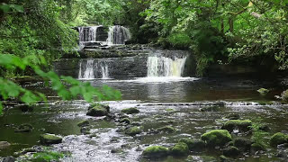 Forest Waterfall Nature Sounds for Sleeping  Relaxing Water Flowing Sound Mindfulness Meditation [upl. by Nance]