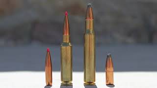 65 Creedmoor vs 3006 Springfield A Detailed Comparison amp Analysis For Hunters [upl. by Erbes]