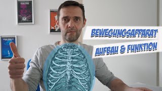 Bewegungsapparat  Anatomie  Pflege Kanal [upl. by Remmus]