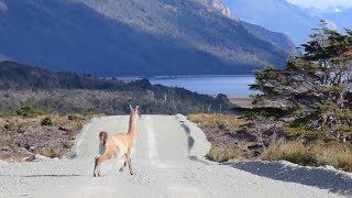 Tierra del Fuego Chile [upl. by Yorztif]