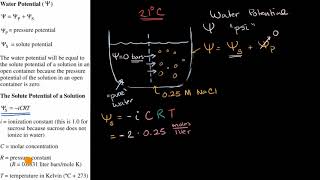 Water potential [upl. by Anestassia]