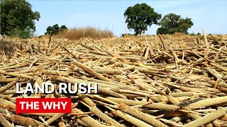 Land Rush ⎜WHY POVERTY ⎜Documentary [upl. by Gnuoy]