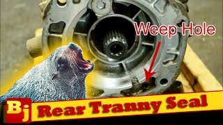 Replace a Leaking Rear Transmission Seal [upl. by Werdna]