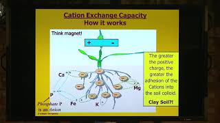 How Cation Exchange Capacity works [upl. by Nohtanoj]