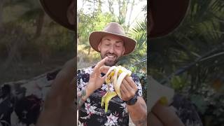 Nunca Tires Las Cáscaras de 🍌 Usalas en tus PLANTAS [upl. by Eedyak]