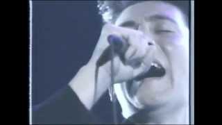 kd lang performs quot CRYING quot [upl. by Nosak]